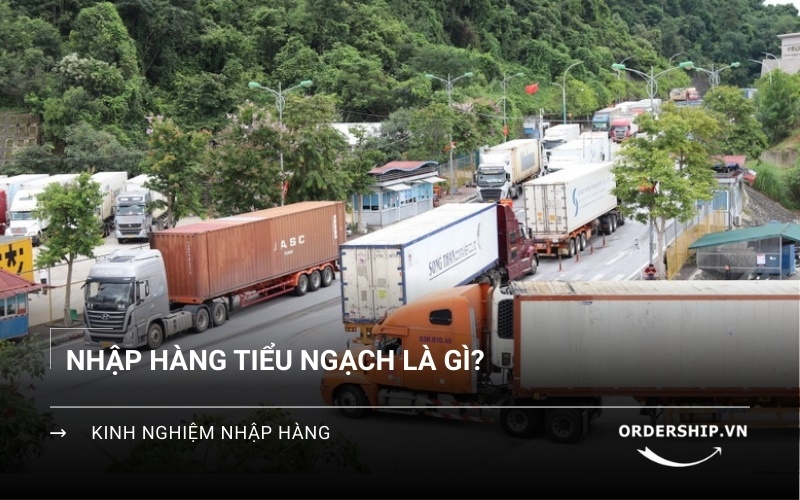 Tiểu ngạch là gì?