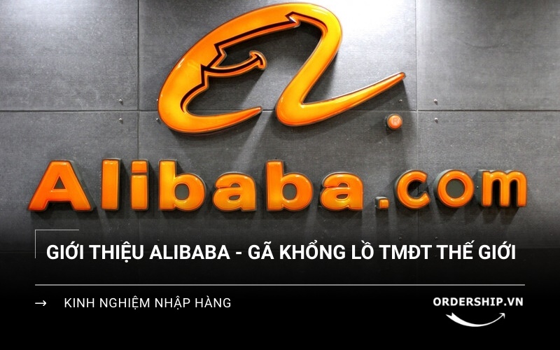 Giới thiệu Alibaba - Gã khổng lồ TMĐT Trung Quốc